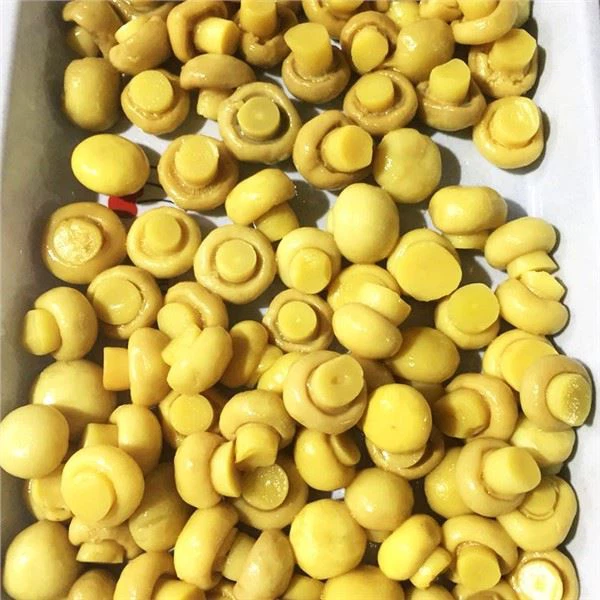 À quoi sert le liquide contenu dans la boîte de champignons tranchés en saumure ?