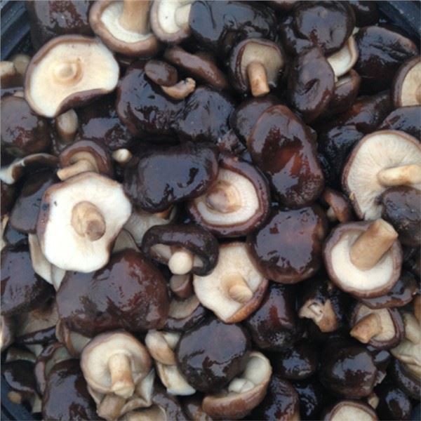 Puis-je utiliser des champignons entiers en saumure dans un sandwich ?