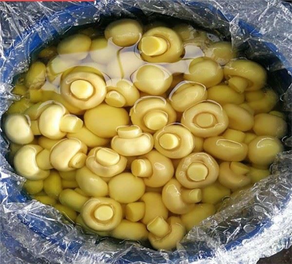 Champignon entier frais de 4 à 5 cm en SO2